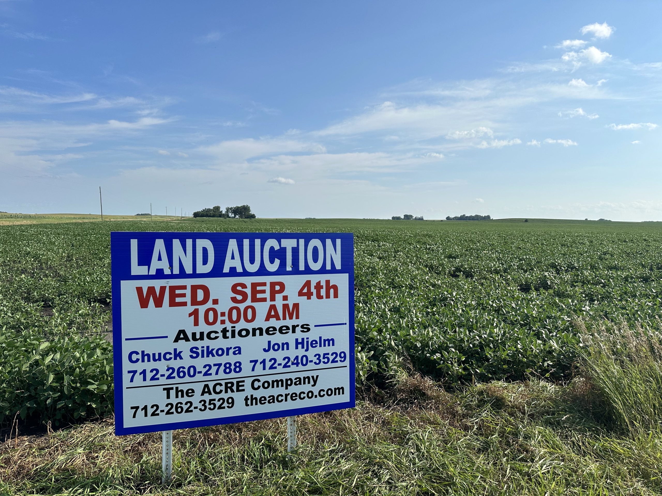 A land auction sign stands in a soybean field, advertising an event on September 4th at 10:00 AM.