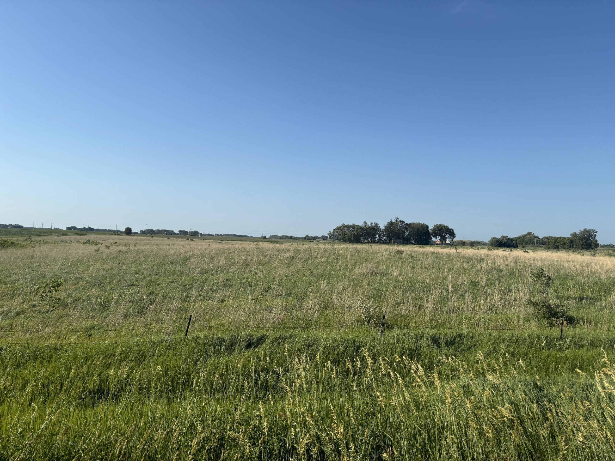 Vast grassy field under a clear blue sky.