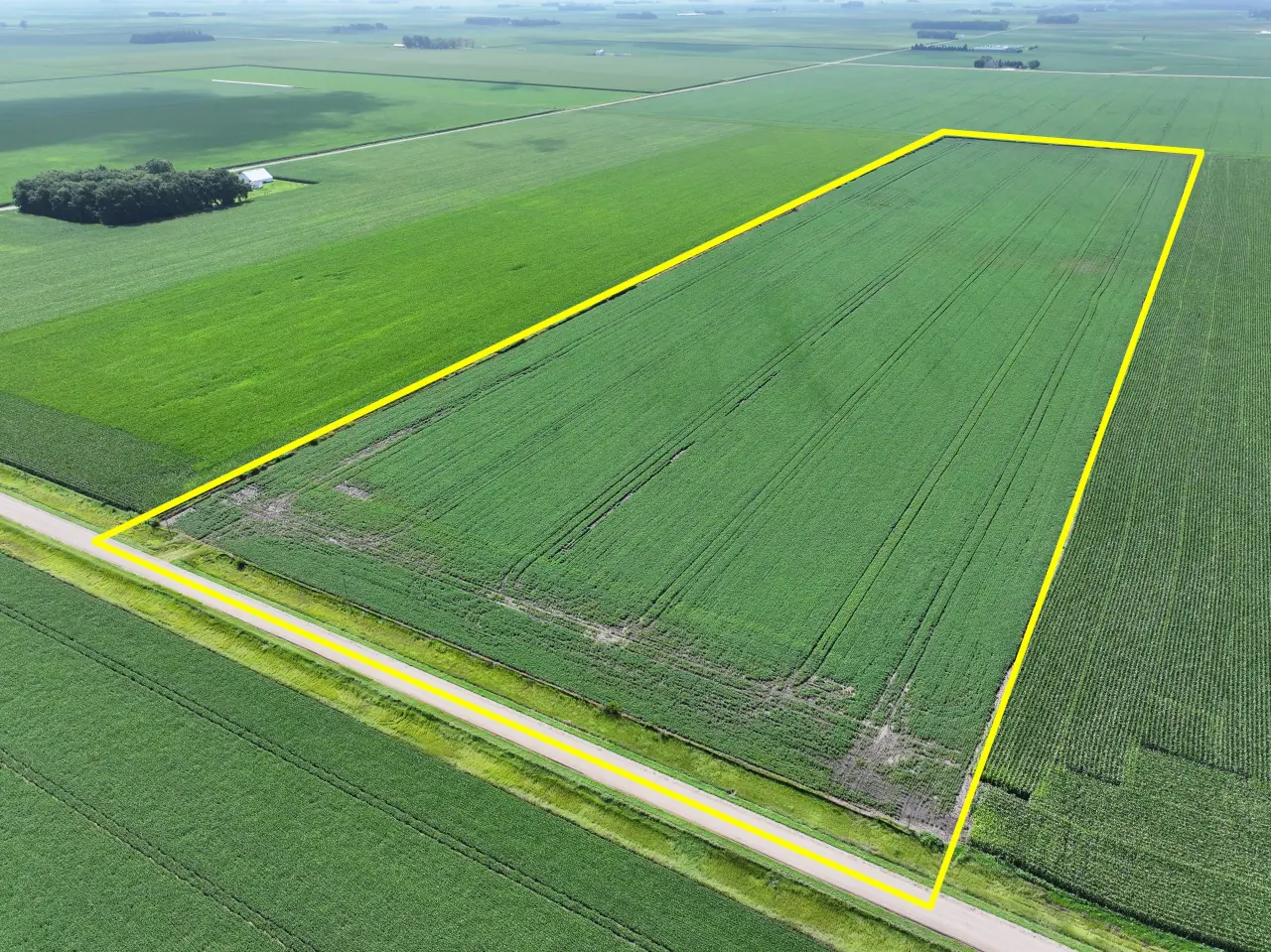 Aerial view of a vast, rectangular green field outlined in yellow, surrounded by lush farmland. A road runs along one side, conveying a serene rural landscape.