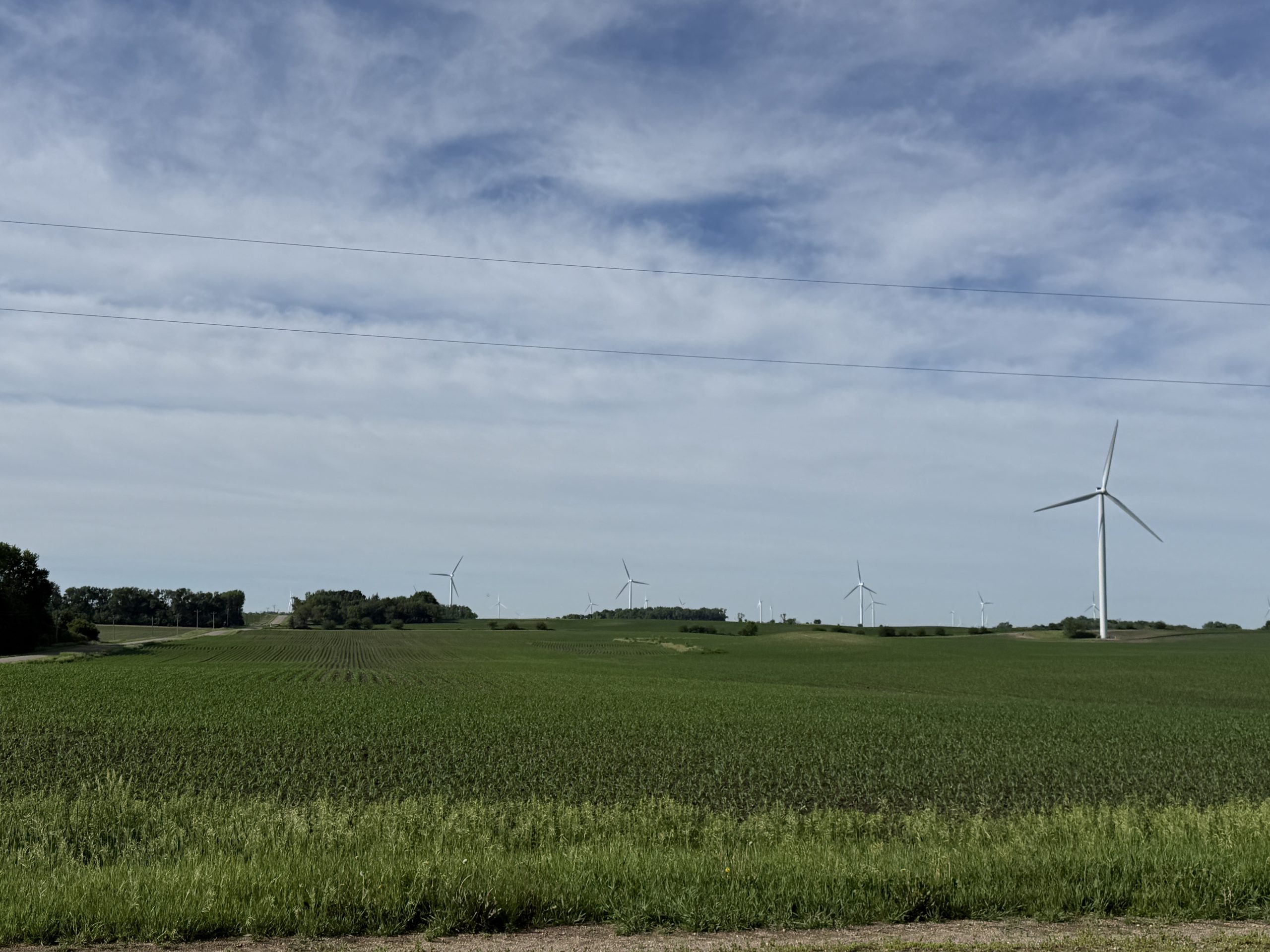 A green field in Northwest Iowa with multiple wind turbines along the horizon