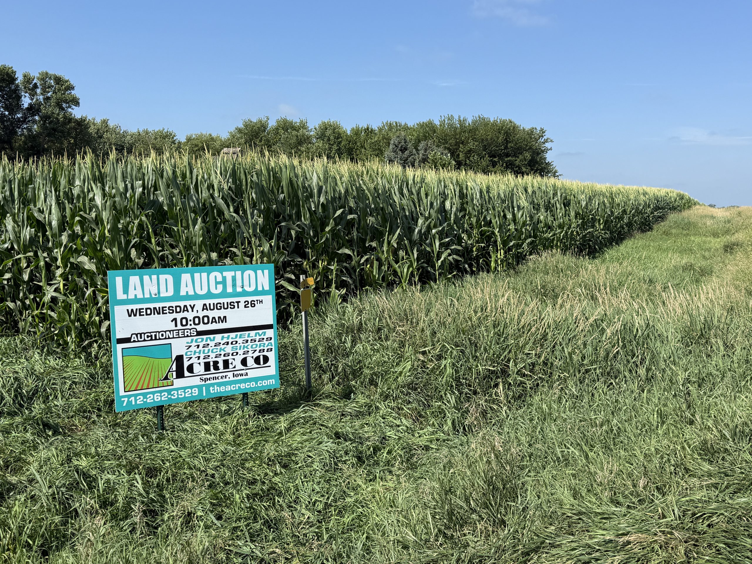 The Acre Company land auction yard sign along a cornfield, advertising a Wednesday, August 26th auction with auctioneers Jon Hjelm and Chuck Sikora