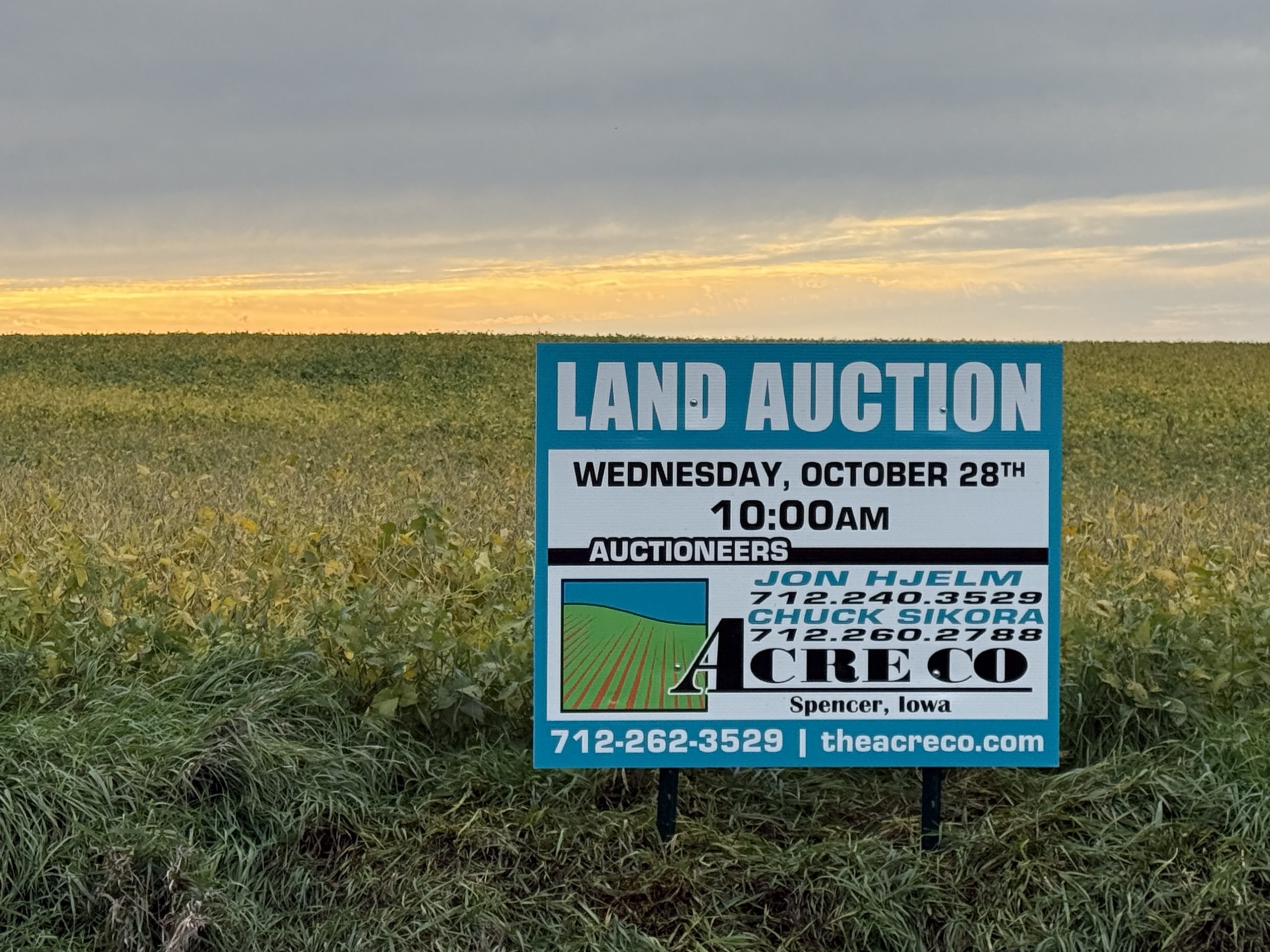 The Acre Company land auction yard sign in a soybean field at sunset, advertising an auction with auctioneers Jon Hjelm and Chuck Sikora